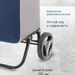 Сумка-тележка "Попутчица" цв.сумки серый/синий арт.СТП11 - Мебель для дома